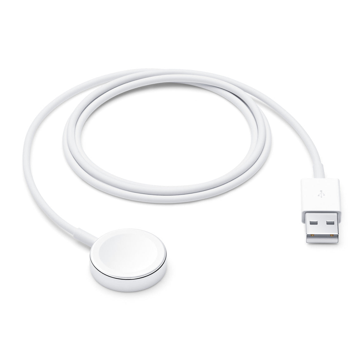 Apple 1m Magnetic Cable